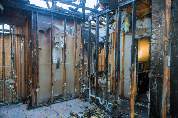 Professional Fire Damage Restoration technician working in Newhall, IA